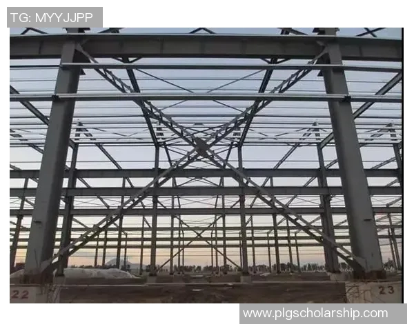 哑铃形钢管混凝土拱肋的结构特性与应用研究探讨